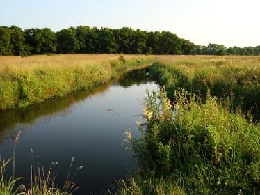 Omgeving Eext Drentse Aa