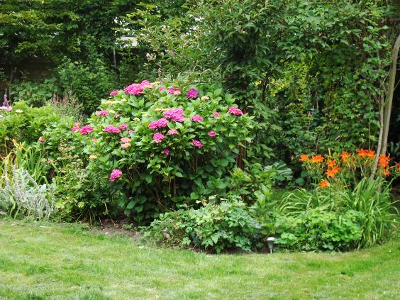 Tuin Praktijk Renee Merkestijn