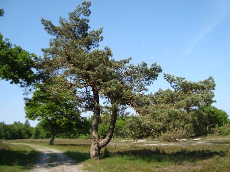 Omgeving Eext