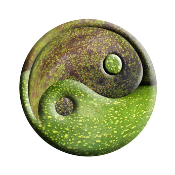Cursus Feng Shui